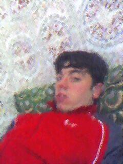 talibi